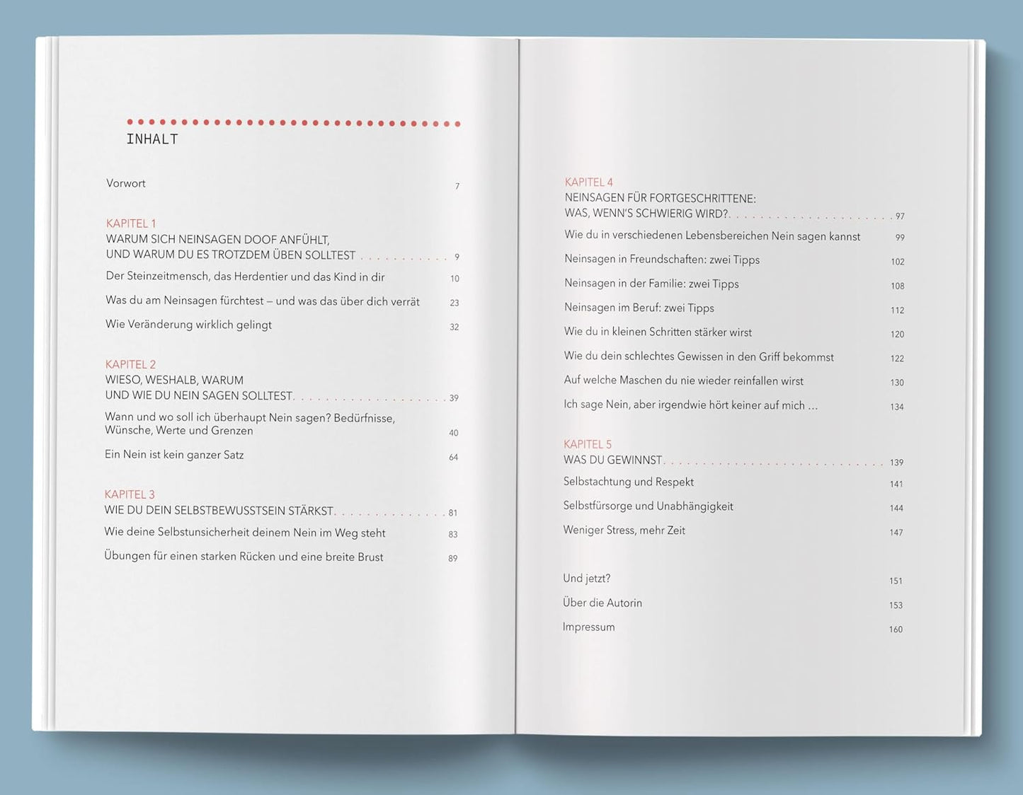 Neinsagen ohne schlechtes Gewissen – Workbook für mehr Selbstachtung